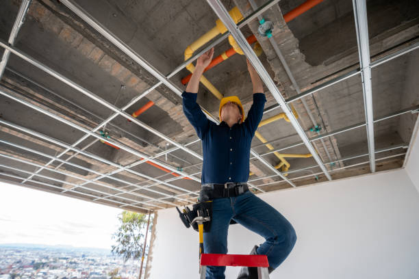 Best Emergency Plumbing Repair  in Ankeny, IA