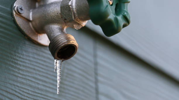 Best Drain Cleaning Services  in Ankeny, IA