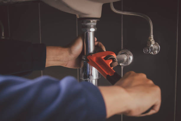 Best Clogged Drain Plumber  in Ankeny, IA