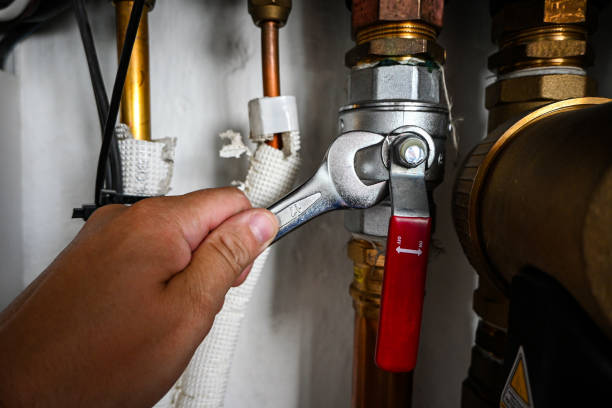 Best Shower Repair Services  in Ankeny, IA